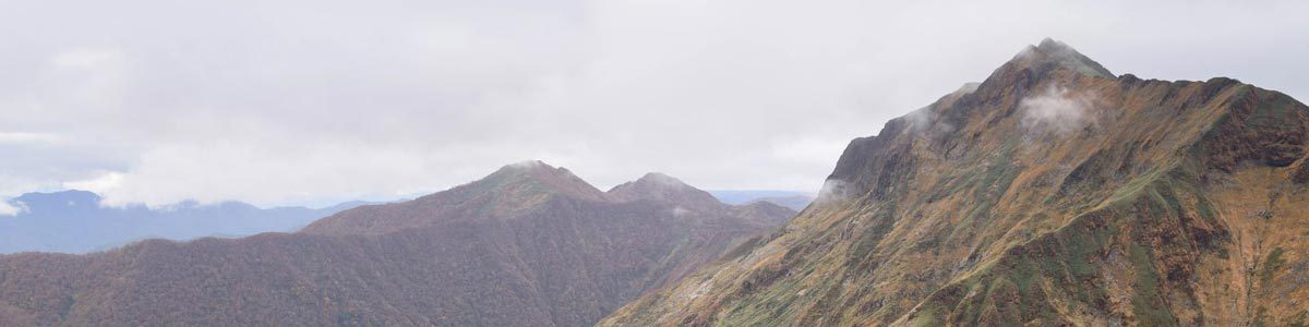 MSSテストサイト